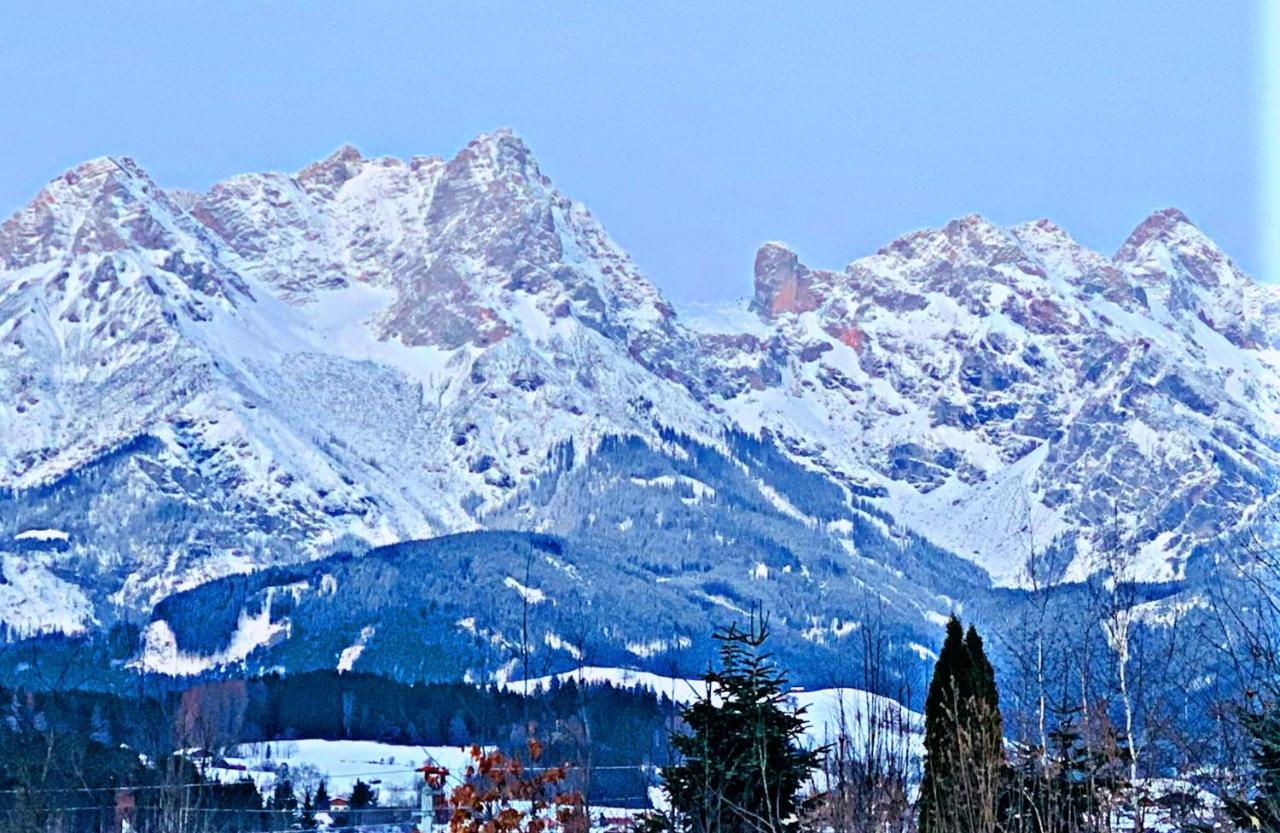 Bergblick Apartment Saalfelden Exterior photo