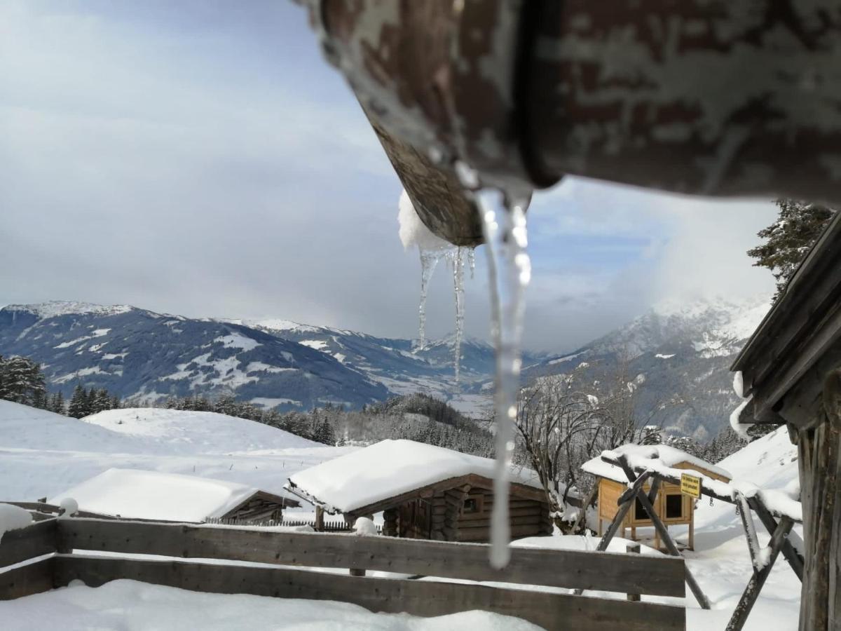 Bergblick Apartment Saalfelden Exterior photo